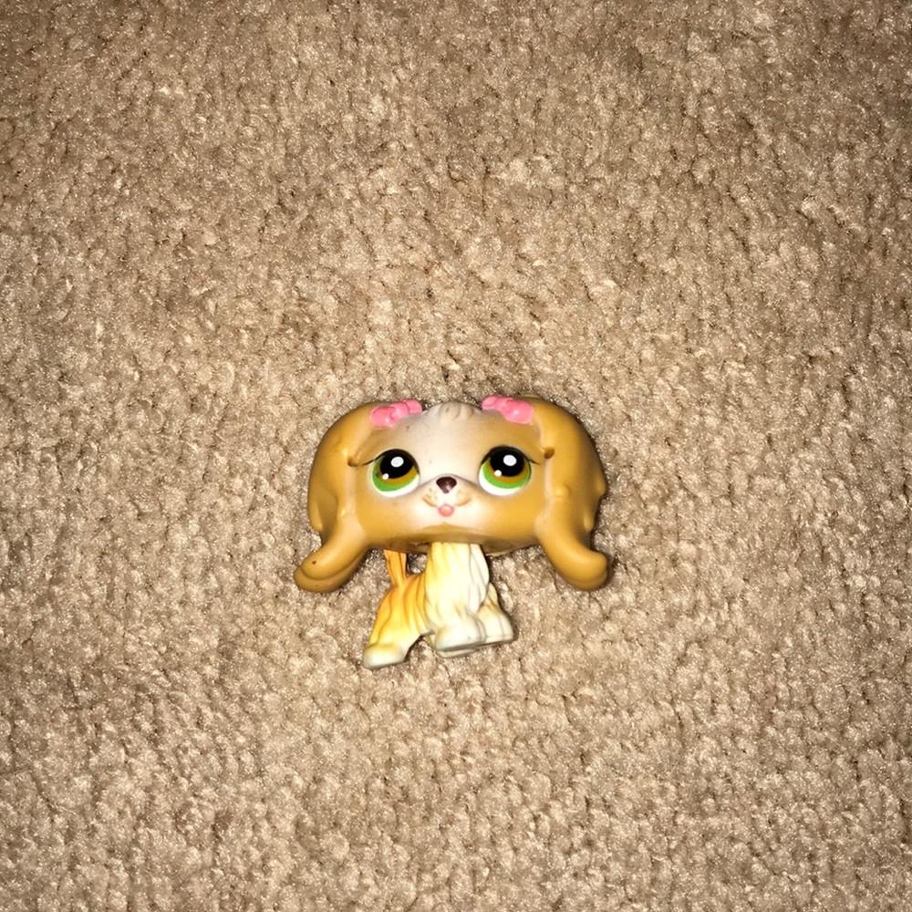 Littlest pet shop maltese